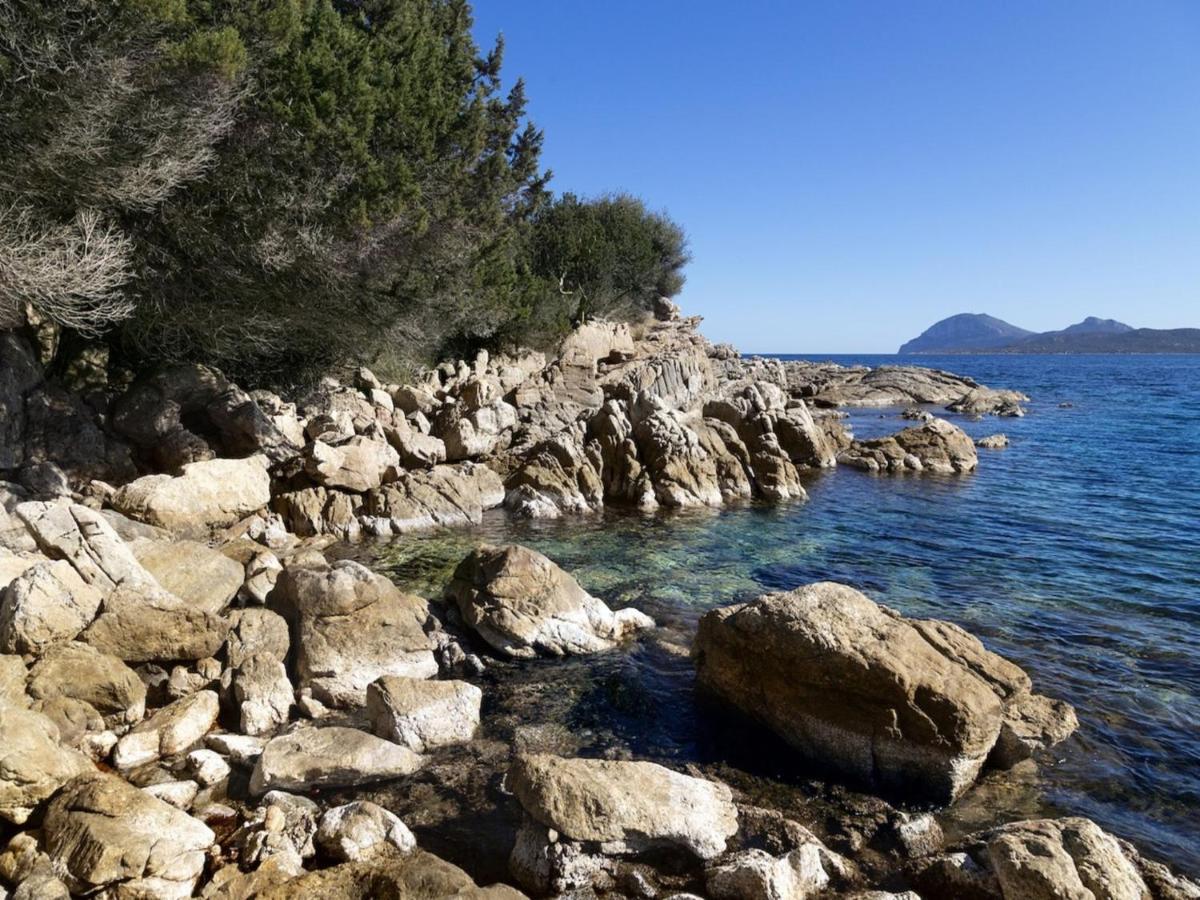 Apartment La Nina By Interhome Porto Rotondo Zewnętrze zdjęcie